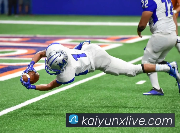 开云平台展示图