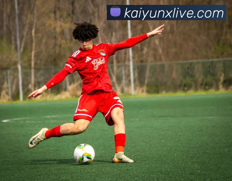 开云娱乐全站App